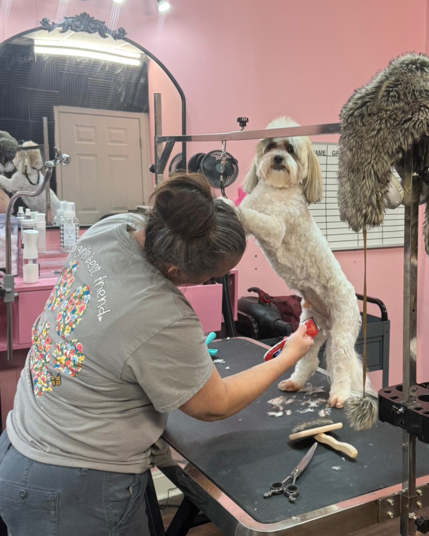 Grooming & Styling